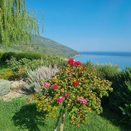 Moses Apart Otel 4*