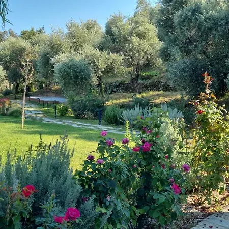 Aparthotel Moses 3*