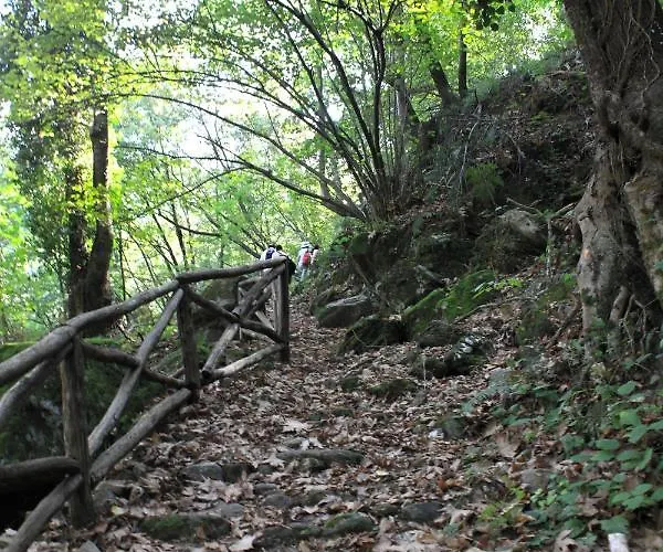 מלון דירות Moses חורפטו