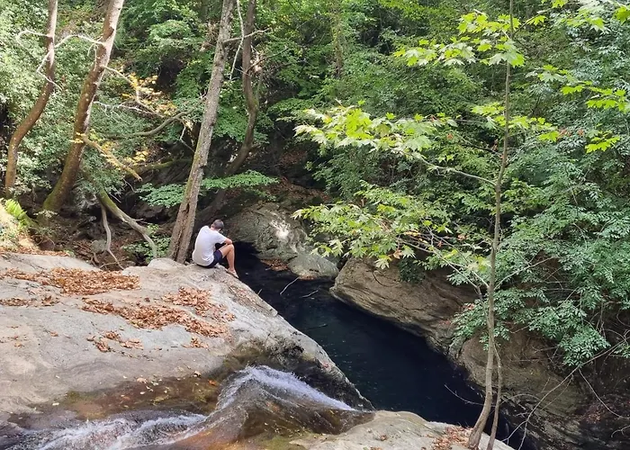 Moses מלון דירות